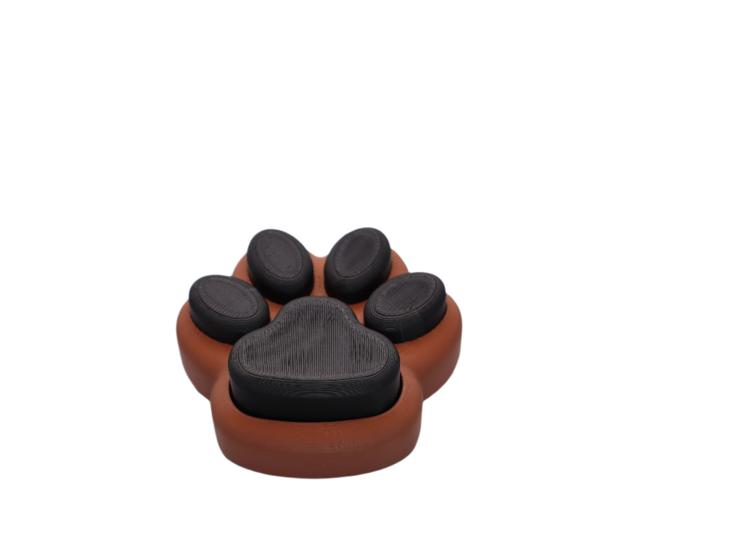 Clicker Fidget – Fun 3D Printed Sensory Toys with Satisfying Click Sounds