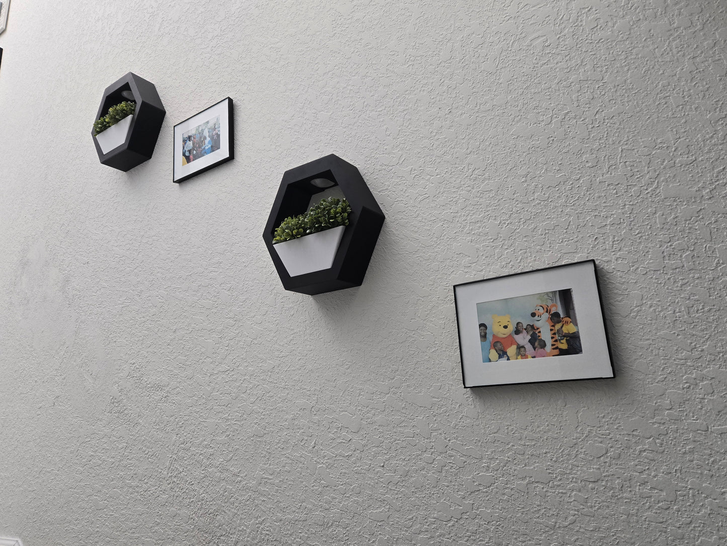 ✨ Shine & Vine – Decorative Wall Shelf with Soft Glow 🌿