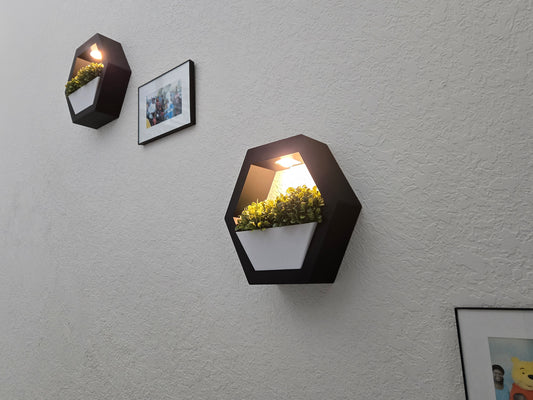 ✨ Shine & Vine – Decorative Wall Shelf with Soft Glow 🌿