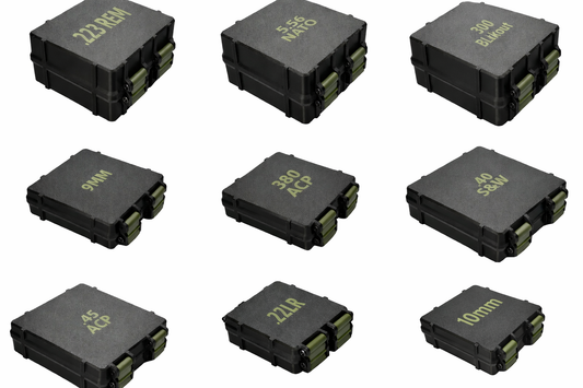 Ammo Storage | 100 rounds 🔫 Organizer Case | Snap-Lock Storage